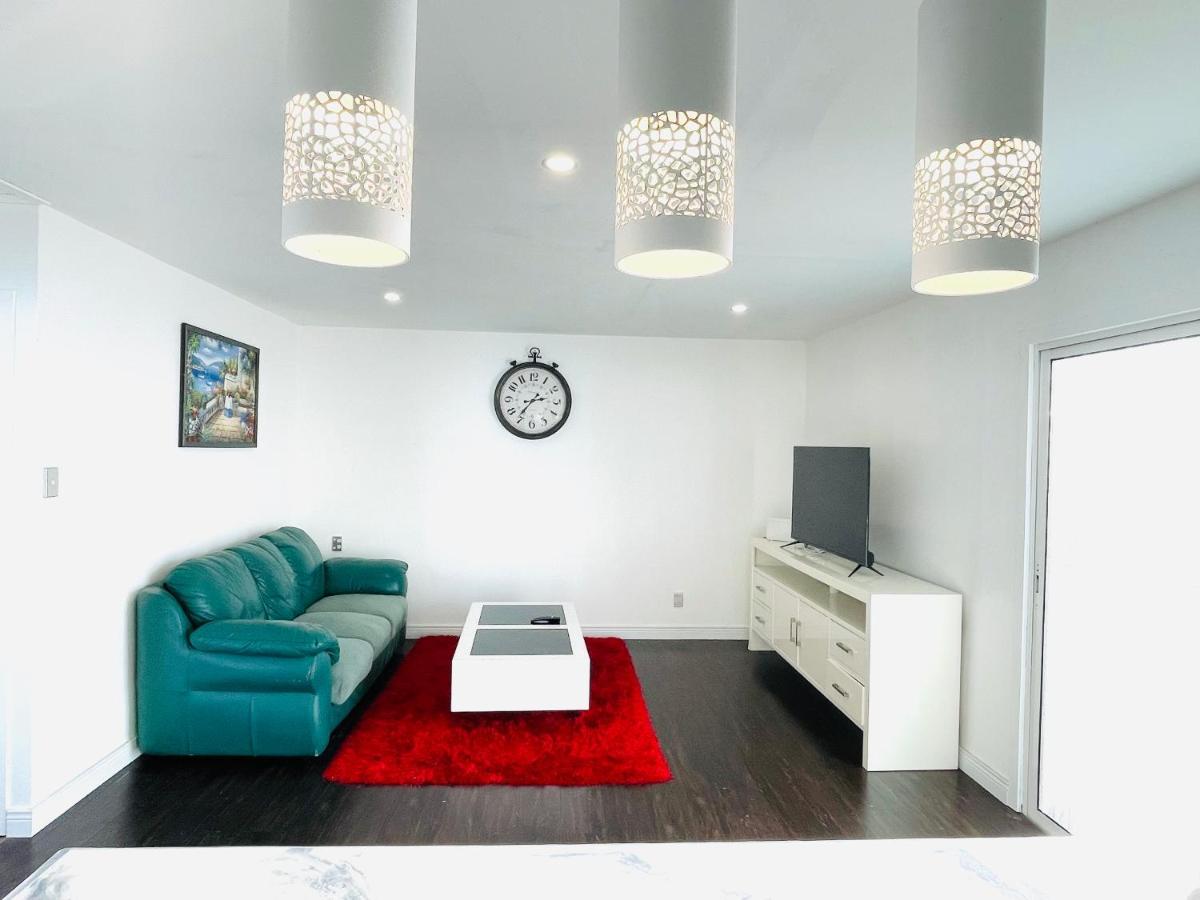 Amber Hill B Villa Buckland Bagian luar foto
